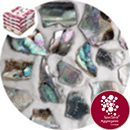 Crushed Sea Shells - Natural Abalone Gravel - 8999G